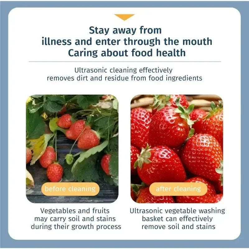 Ultrasonic Fruit and Vegetable Washing Unit