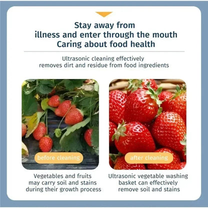 Ultrasonic Fruit and Vegetable Washing Unit