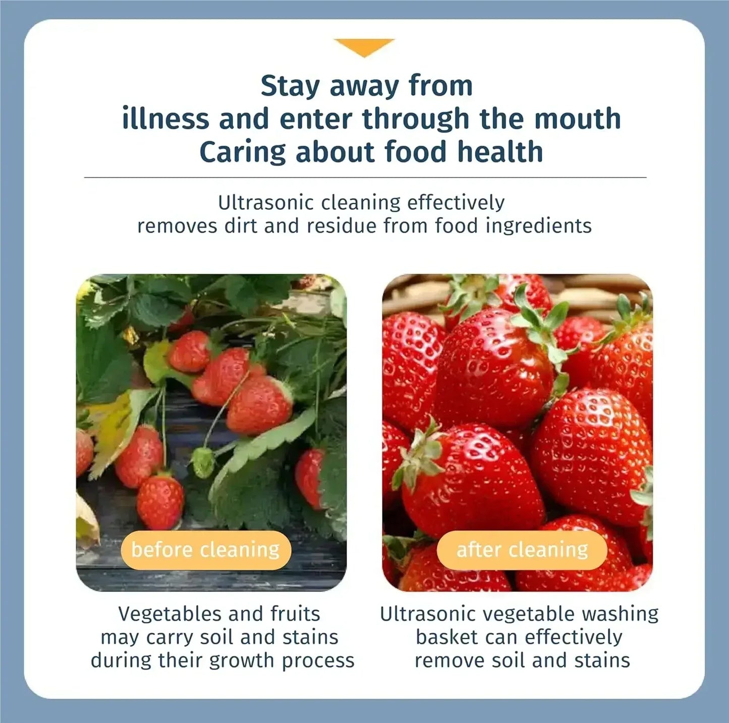 Ultrasonic Fruit and Vegetable Washing Unit