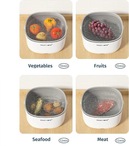 Ultrasonic Fruit and Vegetable Washing Unit