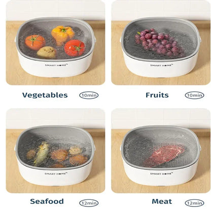 Ultrasonic Fruit and Vegetable Washing Unit